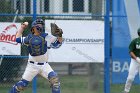 Baseball vs Babson  Wheaton College Baseball vs Babson during NEWMAC Championship Tournament. - (Photo by Keith Nordstrom) : Wheaton, baseball, NEWMAC